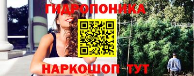 стафф Заводоуковск