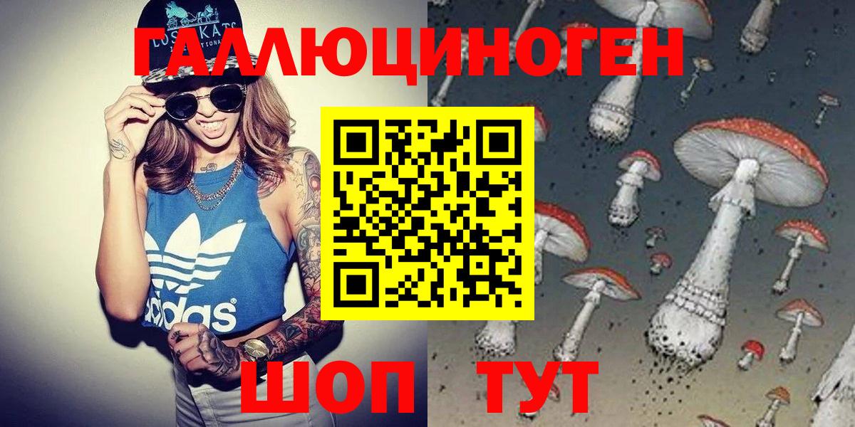 Псилоцибиновые грибы Psilocybe Лабинск